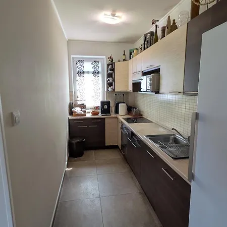 Alfoeldi Borok Haza Kunfeherto